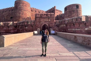 Desde Delhi: excursión privada de un día al Taj Mahal y Agra con servicio de recogida