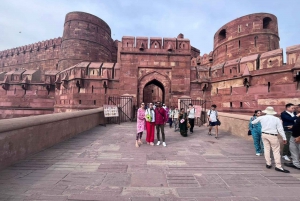 Depuis Delhi : excursion privée d'une journée au Taj Mahal et à Agra avec prise en charge