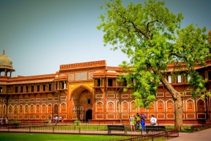 From Delhi: Taj Mahal & Agra Private Day Trip with Transfers