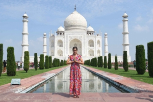 Fra Delhi: Taj Mahal & Agra Privat dagsudflugt med transfer