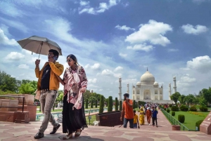 Fra Delhi: Taj Mahal og Agra-tur med ekspresstoget Gatimaan