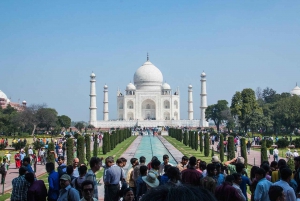 Delhistä: Taj Mahal & Agra Tour Gatimaan pikajunalla