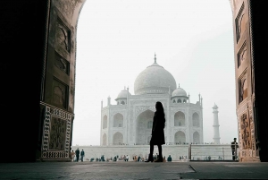 Delhistä: Taj Mahal & Agra Tour Gatimaan pikajunalla