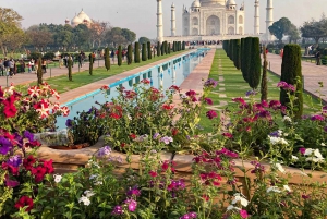 Fra Delhi: Taj Mahal og Agra-tur med Gatimaan-ekspresstog