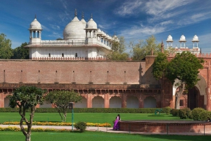 Vanuit Delhi: Taj Mahal en Agra Fort dagtocht met de auto