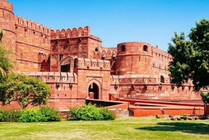 Vanuit Delhi: Taj Mahal en Agra Fort dagtocht met de auto