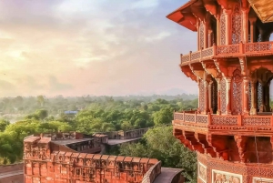 Vanuit Delhi: Taj Mahal en Agra Fort dagtocht met de auto