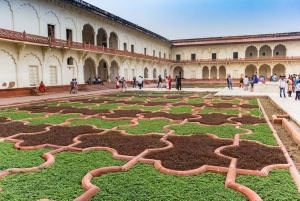 Vanuit Delhi: Taj Mahal en Agra Fort dagtocht met de auto