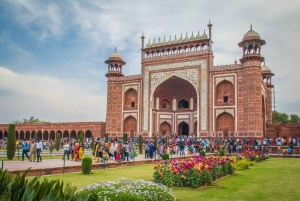 Fra Delhi: Heldagsutflukt med bil til Taj Mahal og Agra Fortet