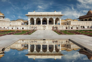 Från Delhi: Taj Mahal och Agra Fort heldagsutflykt med bil