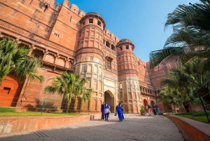 Au départ de Delhi : excursion d'une journée en voiture au Taj Mahal et au fort d'Agra