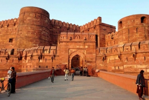 Au départ de Delhi : visite privée du Taj Mahal et du fort d'Agra en voiture