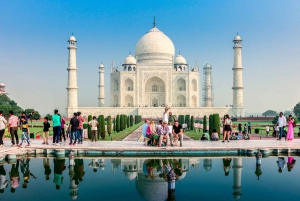 Au départ de Delhi : visite privée du Taj Mahal et du fort d'Agra en voiture