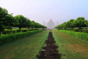 Au départ de Delhi : visite privée du Taj Mahal et du fort d'Agra en voiture