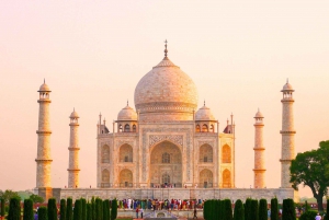 From Delhi: Taj Mahal and Agra Fort Private Sunrise Tour