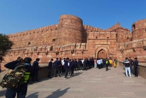 Från Delhi: Taj Mahal och Agra Fort Private Sunrise Tour