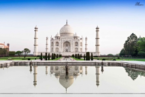 Fra Delhi: Taj Mahal og Agra-tur med superhurtigt tog