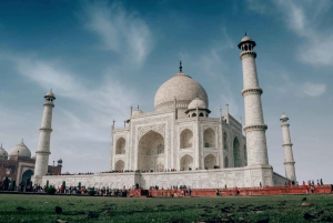 Fra Delhi: Taj Mahal dagstur med hurtigtog med transport