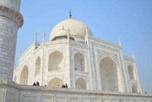 Fra Delhi: Taj Mahal dagstur med hurtigtog med transport