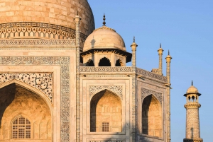 Fra Delhi: Taj Mahal dagstur med hurtigtog med transport