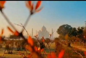 From Delhi: Sunrise Taj Mahal & Agra Day Tour by Private Car