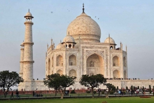 De Délhi: Sunrise Taj Mahal & Agra Day Tour em carro particular