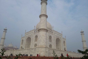 From Delhi: Sunrise Taj Mahal & Agra Day Tour by Private Car