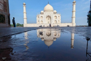 Z Delhi: Taj Mahal Sunrise Tour ze śniadaniem lub napojami