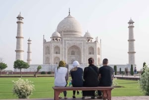 Desde Delhi: Excursión privada de un día al Taj Mahal al amanecer y al Fuerte de Agra