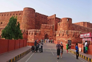 Au départ de Delhi : excursion privée d'une journée au lever du soleil sur le Taj Mahal et à Agra