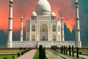 Vanuit Delhi: Taj Mahal Zonsopgang & Agra Privé Dagtrip