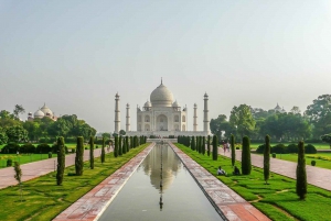 Au départ de Delhi : excursion privée d'une journée au lever du soleil sur le Taj Mahal et au fort d'Agra