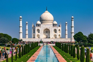 Au départ de Delhi : excursion privée d'une journée au lever du soleil sur le Taj Mahal et au fort d'Agra