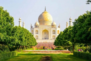 Au départ de Delhi : excursion privée d'une journée au lever du soleil sur le Taj Mahal et au fort d'Agra