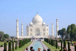 Au départ de Delhi : excursion privée d'une journée au lever du soleil sur le Taj Mahal et au fort d'Agra