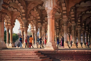 Au départ de Delhi : excursion privée d'une journée au lever du soleil sur le Taj Mahal et au fort d'Agra