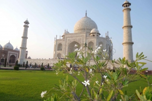 Delhistä: Taj Mahalin auringonnousu ja Agran linnoitus Yksityinen retki