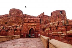 Au départ de Delhi : visite privée du Taj Mahal au lever du soleil et du fort d'Agra