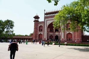 Von Delhi aus: Sonnenaufgang am Taj Mahal und Ausflug zum Bear Rescue Center