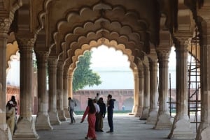 Von Delhi aus: Sonnenaufgang am Taj Mahal und Ausflug zum Bear Rescue Center