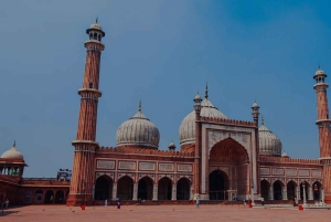 From Delhi: Taj Mahal Sunrise and Old Delhi Tour - By Car