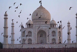 Delhistä: Taj Mahal Sunrise & Agra Day Tour kuljetuksineen