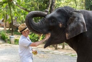 Von Delhi: Taj Mahal bei Sonnenaufgang & Elefanten-Rettungstour