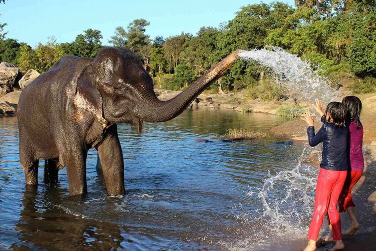 Au départ de Delhi : Tour du Taj Mahal au lever du soleil avec conservation des éléphants