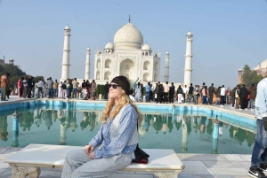 Ab Delhi: Taj Mahal Sunrise Tour mit Elefantenschutz