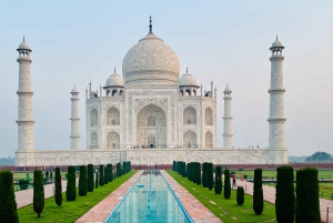 Ab Delhi: Taj Mahal Sunrise Tour mit Elefantenschutz