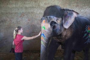 Au départ de Delhi : Tour du Taj Mahal au lever du soleil avec conservation des éléphants