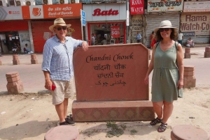 Au départ de Delhi : Tour du Taj Mahal au lever du soleil avec conservation des éléphants