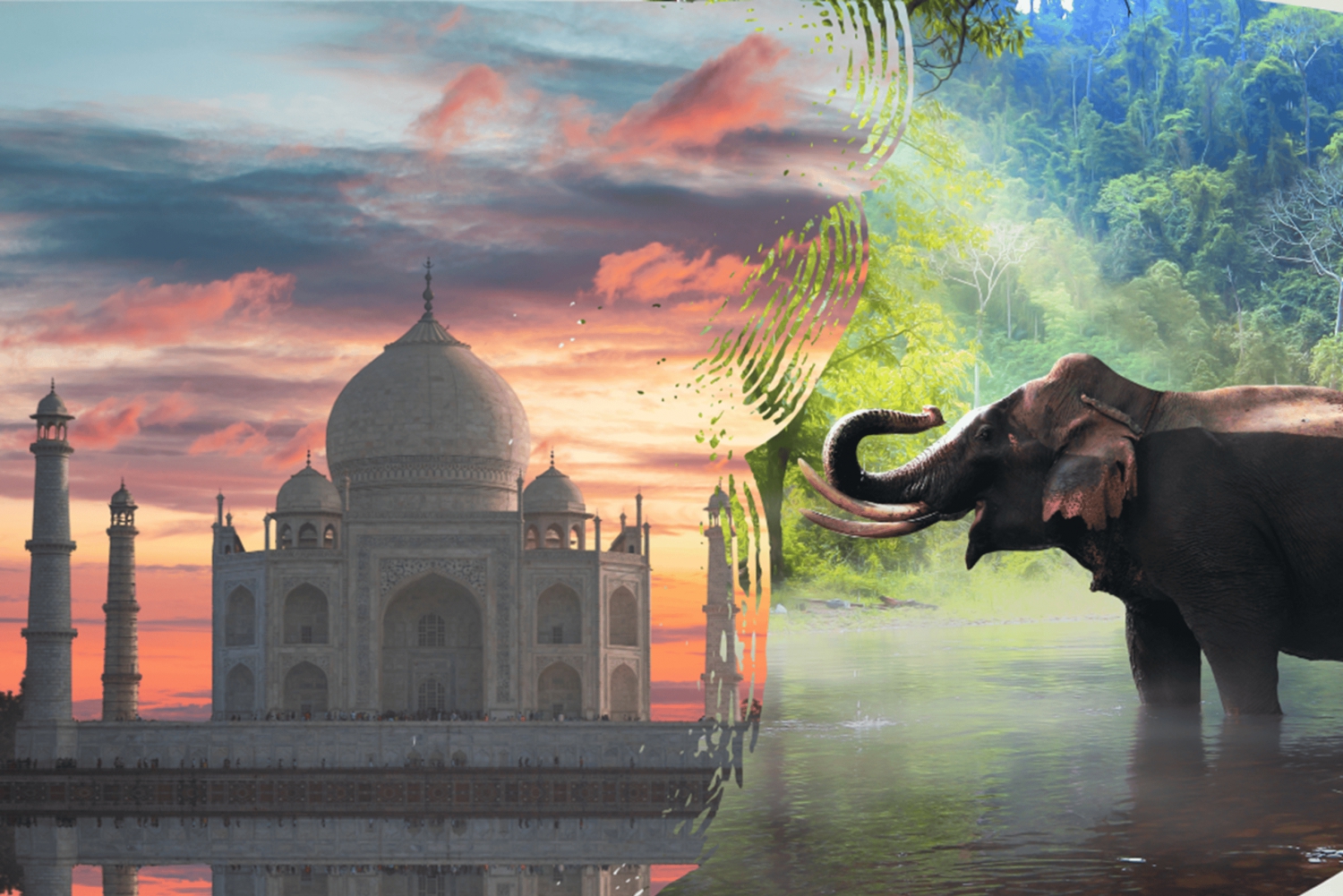 Fra Delhi: Taj Mahal solopgangstur med bevarelse af elefanter