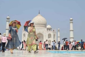Fra Delhi: Taj Mahal-tur ved soloppgang med Elephant SOS Center